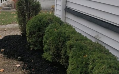 Photo of Donna P.'s yard after getting landscaping in Millersport, OH