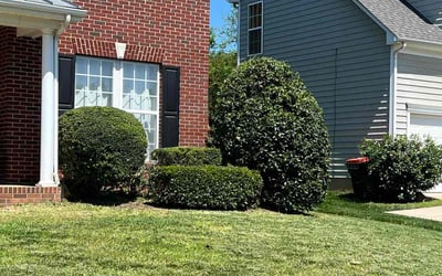 Photo of Lindsey L.'s yard after getting tree care in Fort Mill, SC