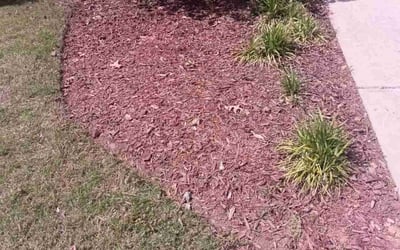 Photo of Steven W.'s yard after getting landscaping in Woodstock, GA