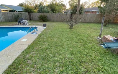 Photo of Rachel J.'s yard after getting landscaping in Mc David, FL
