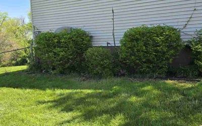 Photo of Jeff M.'s yard after getting landscaping in Hamersville, OH