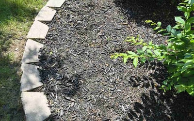 Photo of Karen L.'s yard after getting tree care in Duncanville, TX