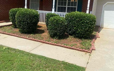 Photo of Brandi B.'s yard after getting landscaping in Gay, GA