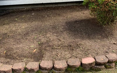 Photo of Kim K.'s yard after getting landscaping in Shawboro, NC