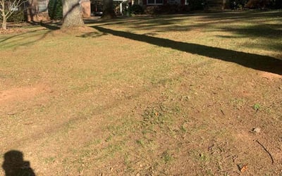 Photo of Gregory B.'s yard after getting landscaping in Barnesville, GA