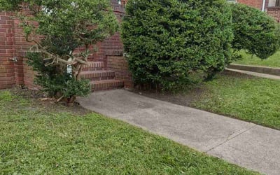 Photo of Javier V.'s yard after getting tree care in Coatesville, PA