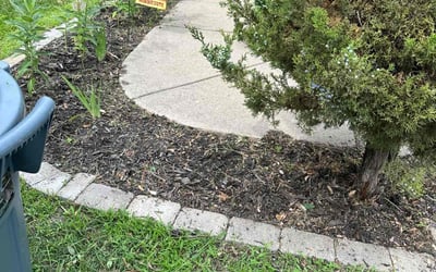 Photo of Joy M.'s yard after getting tree care in Delano, MN