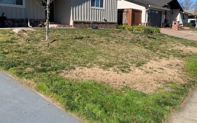 Photo of Robert B.'s yard after getting landscaping in Foresthill, CA