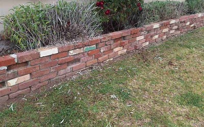 Photo of UNEKI B.'s yard after getting landscaping in Los Angeles, CA