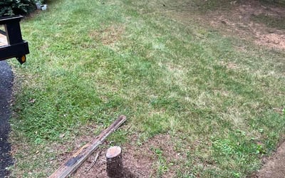 Photo of Megan C.'s yard after getting tree care in Frederick, MD