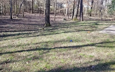 Photo of David C.'s yard after getting landscaping in Midland, NC