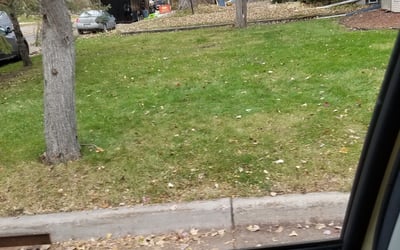 Photo of Steve J.'s yard after getting landscaping in Buffalo, MN