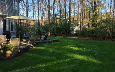 Photo of Matthew P.'s yard after getting landscaping in Dillsboro, IN