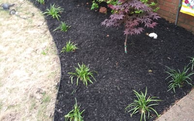 Photo of Ashley R.'s yard after getting landscaping in West Memphis, AR