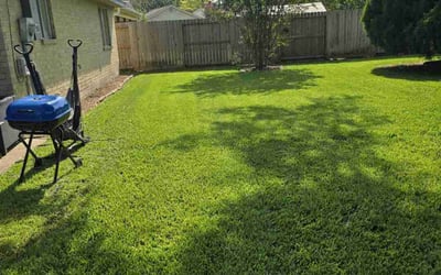 Photo of James G.'s yard after getting landscaping in Freeport, TX