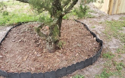Photo of Benjamin M.'s yard after getting landscaping in Indian Lake Estates, FL