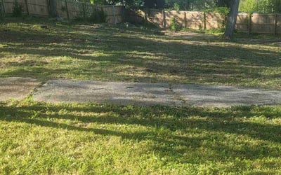 Photo of Evelyn C.'s yard after getting landscaping in Rossville, GA
