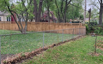 Photo of Adam A.'s yard after getting landscaping in De Soto, KS