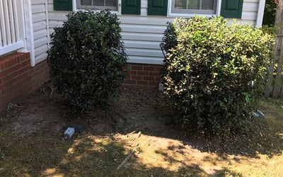 Photo of Laura E.'s yard after getting landscaping in King William, VA