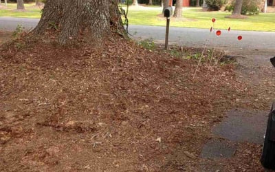 Photo of Mark C.'s yard after getting landscaping in Cardinal, VA