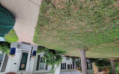 Photo of Kathleen V.'s yard after getting landscaping in Becker, MN