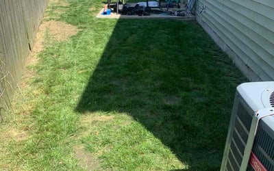 Photo of Craig M.'s yard after getting tree care in Gloucester, VA