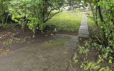 Photo of Teresa S.'s yard after getting landscaping in Amlin, OH