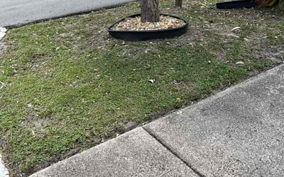 Photo of Jessica L.'s yard after getting landscaping in Pompano Beach, FL