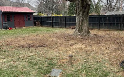 Photo of Ashley S.'s yard after getting landscaping in Easton, PA