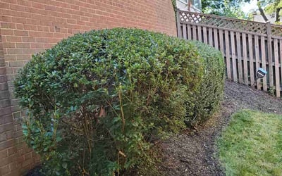 Photo of Arnold Thomas B.'s yard after getting landscaping in North Beach, MD