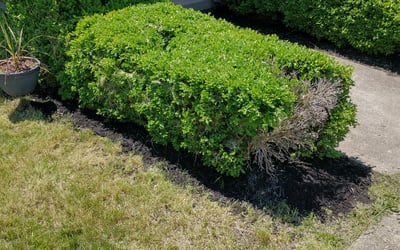 Photo of Erin M.'s yard after getting landscaping in Brownsville, IN