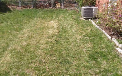 Photo of Terry S.'s yard after getting landscaping in Glenn Dale, MD