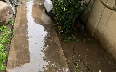 Photo of Christina W.'s yard after getting landscaping in Ladera Ranch, CA