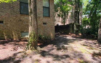 Photo of Joy S.'s yard after getting landscaping in Saint George, SC