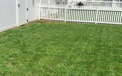 Photo of Justin D.'s yard after getting landscaping in Bowling Green, VA