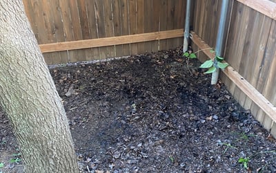 Photo of Doreen S.'s yard after getting landscaping in Boyd, TX