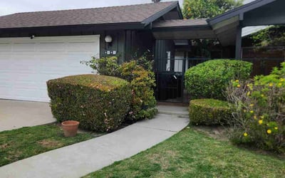 Photo of Carmen P.'s yard after getting tree care in Nevada City, CA