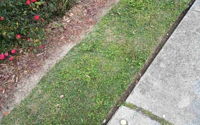 Photo of Rebecca F.'s yard after getting landscaping in Luling, LA