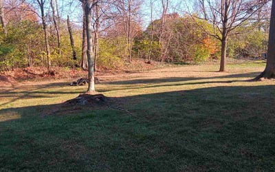 Photo of Steve C.'s yard after getting landscaping in Fulton, OH