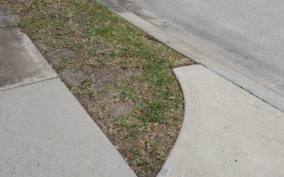 Photo of Mayra A.'s yard after getting tree care in Pearland, TX