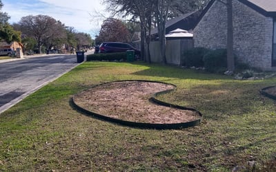 Photo of Jeanine P.'s yard after getting landscaping in Geronimo, TX