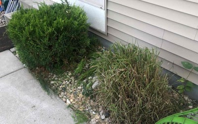 Photo of Kalia Y.'s yard after getting landscaping in Saukville, WI