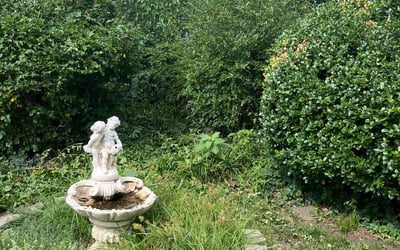 Photo of Kimberly E.'s yard after getting landscaping in Mound City, KS