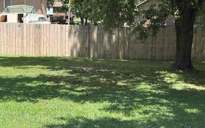 Photo of Penelope B.'s yard after getting tree care in Nashville, TN