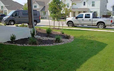 Photo of Dan S.'s yard after getting landscaping in Dripping Springs, TX