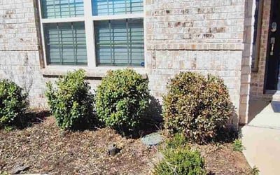 Photo of Victoria H.'s yard after getting landscaping in Argyle, TX