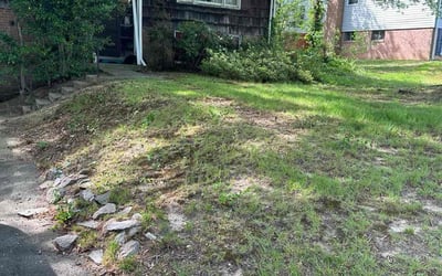 Photo of Sarah L.'s yard after getting landscaping in Elkwood, VA