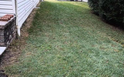 Photo of Kelvin D.'s yard after getting landscaping in Brooklyn, MD