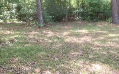 Photo of Jacqueline M.'s yard after getting landscaping in Hockley, TX