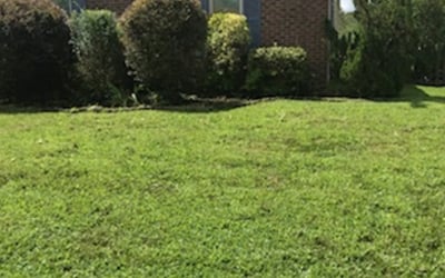 Photo of Chris S.'s yard after getting landscaping in Rescue, VA